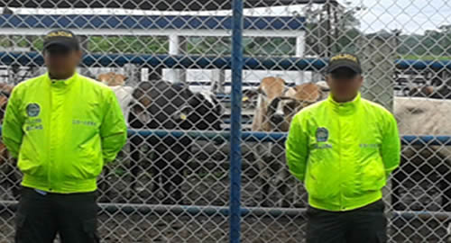 La denuncia, la mejor aliada de la seguridad