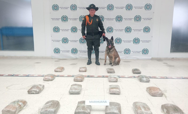 Policía Nacional logra la incautación de una gran cantidad de estupefacientes