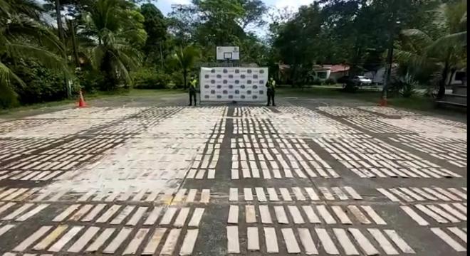 El alcaloide se encontraba camuflado en el fondo de las cajas de cartón 