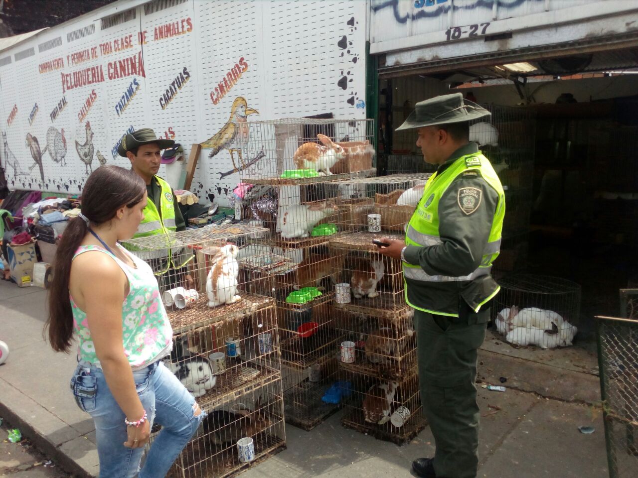 Policía Ambiental del Quindío rescata animales en mal estado.