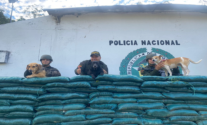 3 caninos criollos, reciben cariño y bienestar por parte de los policiales.