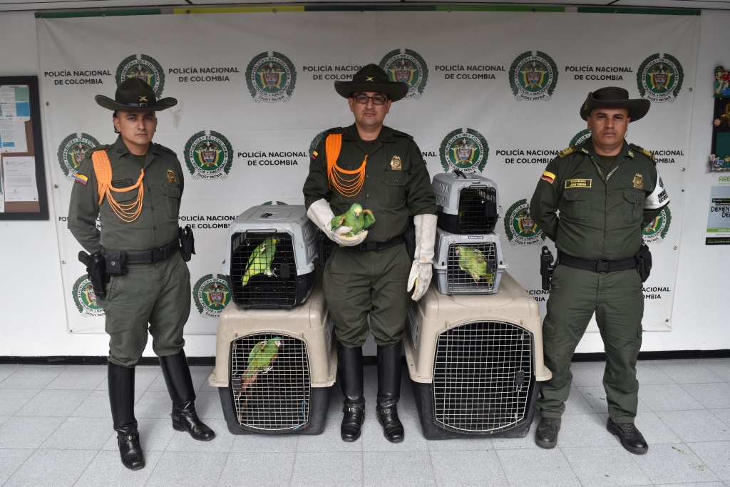 las aves estaban en cautiverio