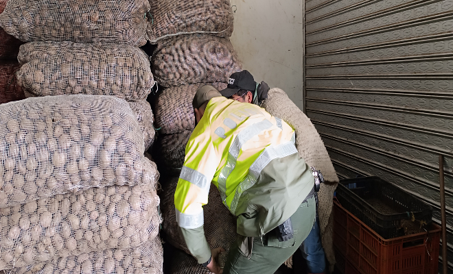Policía cargando bulto de papas