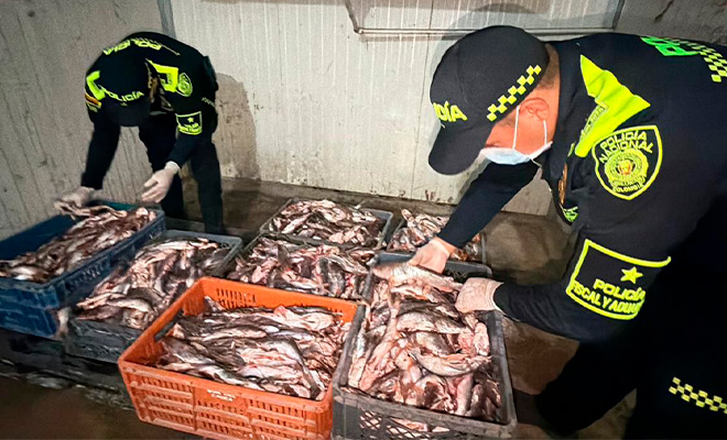 Dos polic&iacute;as revisando pescado incuatado