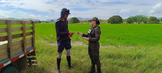 Fortaleciendo la prevención del secuestro y la extorsión entre los arroceros del área metropolitana de Ibagué.