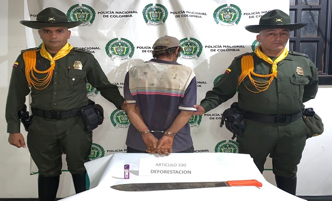 Durante patrullajes rurales, la Policía Nacional y CORPOCALDAS sorprendieron en flagrancia al ciudadano, quien realizaba deforestación sin permisos en un área de alto valor ecológico en la vereda Colorados.