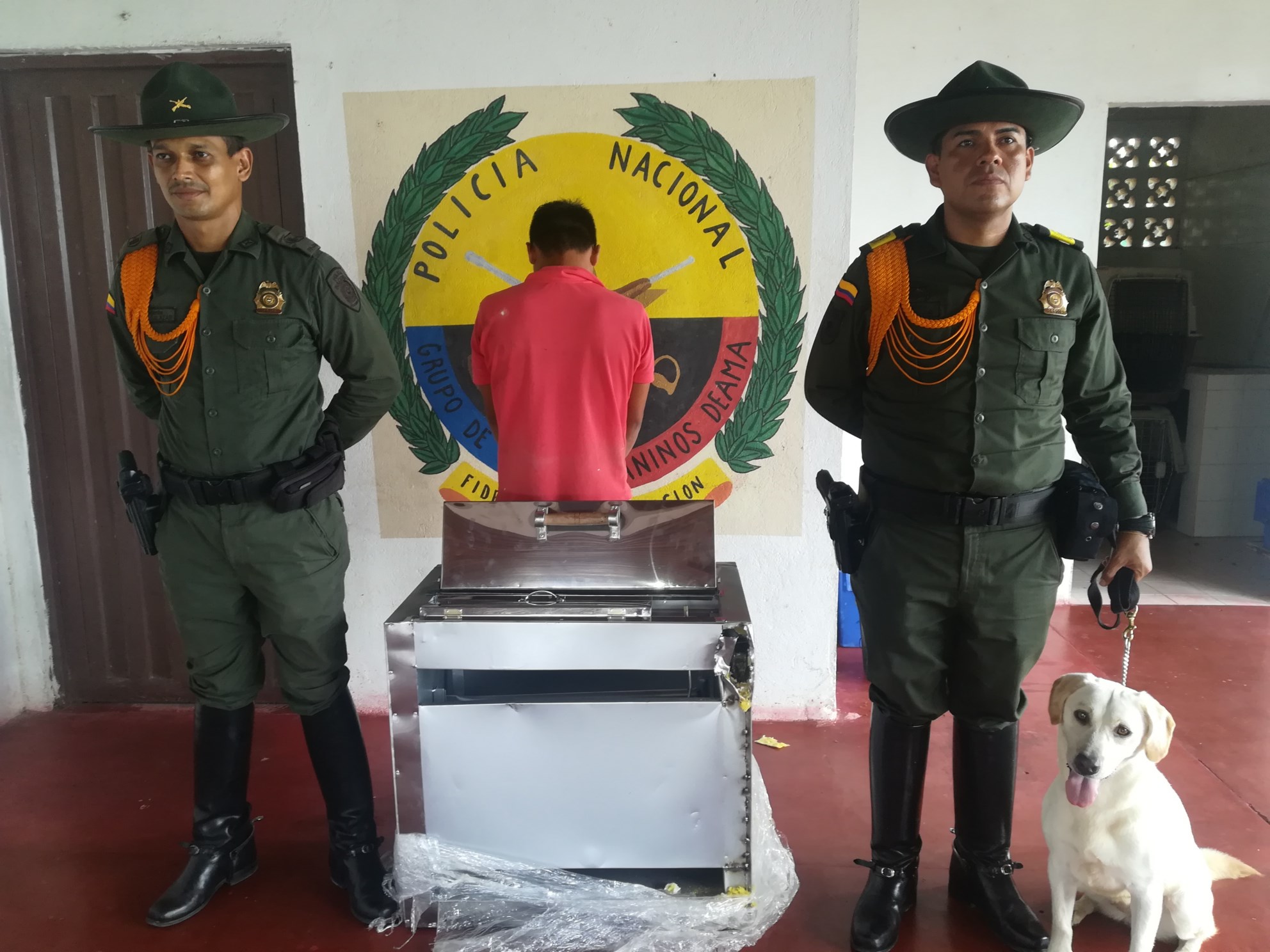 Agudo olfato de los caninos de la policía 