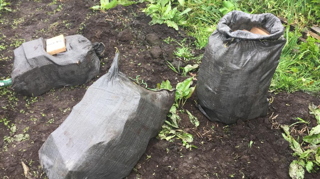 Desarticulada-red-que-enviaba-heroína-desde-la-frontera-con-Ecuador