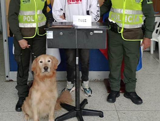 “Aly” y “Max" es el nombre de los dos caninos expertos en narcóticos