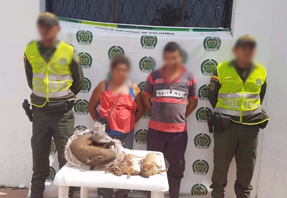 capturados-conejos-chigüiro-recursos-naturales-renovables-animales-silvestres-chibolo-semana santa-magdalena-cuadrante