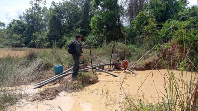 En el marco de la estrategia contra los crímenes al ambiente, capturaron a cuatro personas y destruyeron motores.