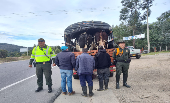 Tres capturas en flagrancia por el delito de abigeato