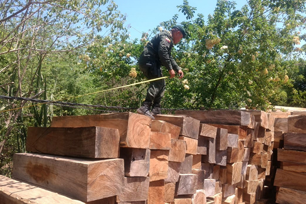 Desarrollamos actividades operativas para la protección del ambiente