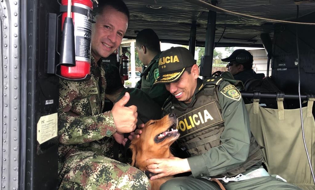 conmemoración-día-mundial-de-los-animales