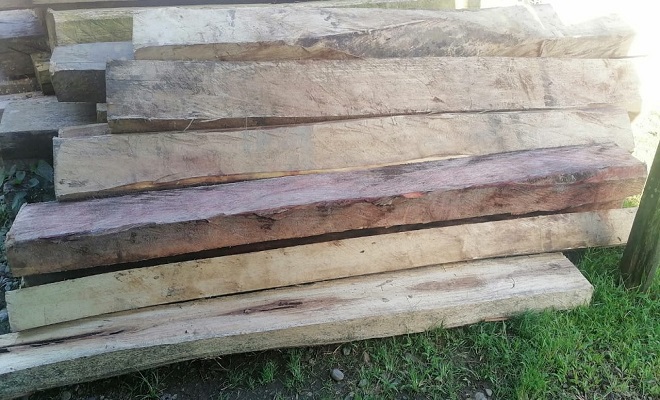 Continuamos operativos contra el tráfico ilegal de madera