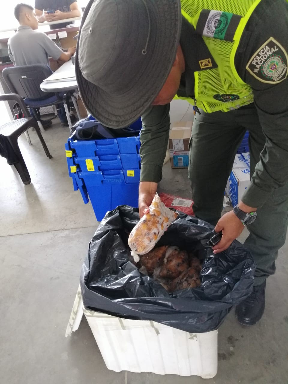 control-trafico-fauna