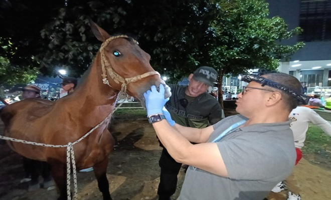 Control bienestar equinos