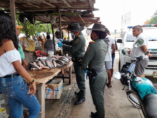 Controles venta de pescado en Magangué