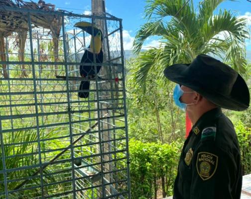 Navidad, época de reconciliación con la familia y la naturaleza