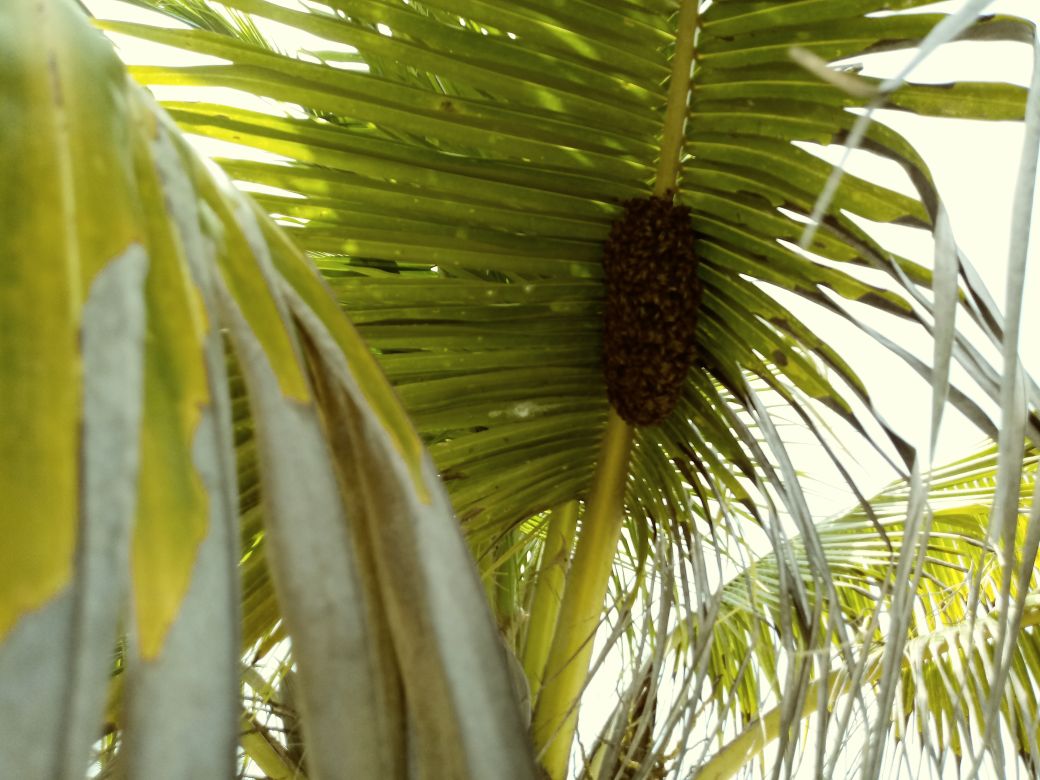 Por muy pequeñas que sean hay que tratarlas con cuidado