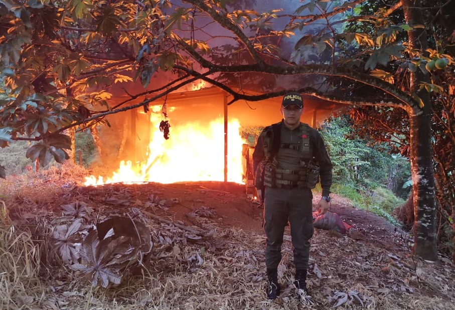Destrucción de laboratorio para procesamiento de sustancias alucinógenas 