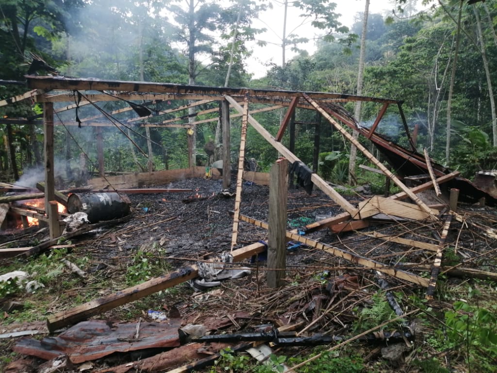 Se erradicaron más de 3000 plantas de coca.