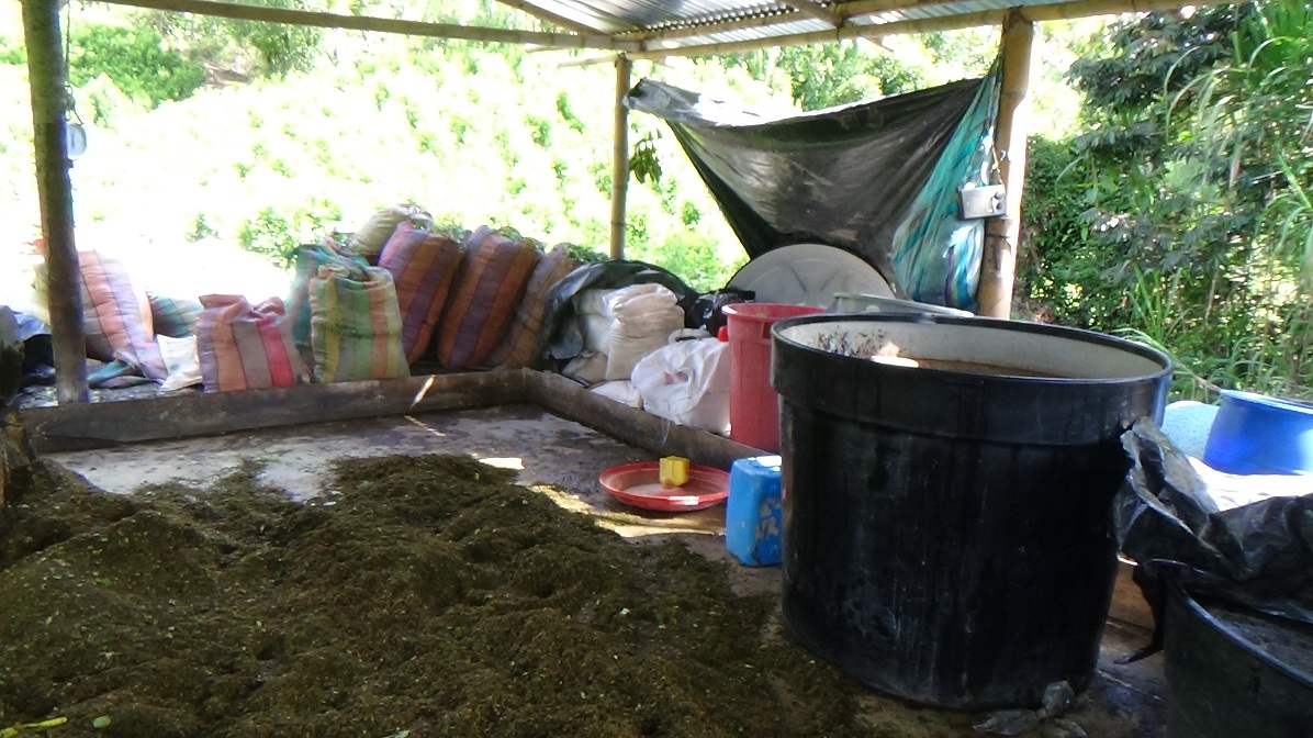 Destrucción_de_un_laboratorio_ para_el_procesamiento_ de_hoja_de_coca