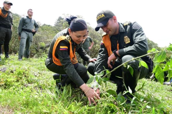 Conmemoración día mundial del árbol 
