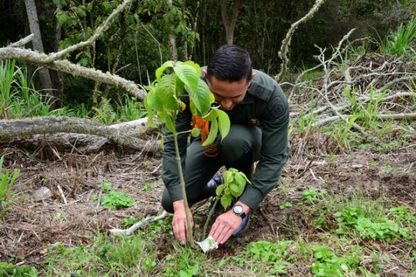 Conmemoración día mundial del árbol 