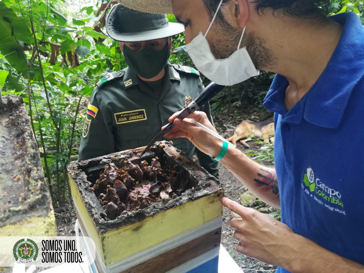 Día mundial de las abejas