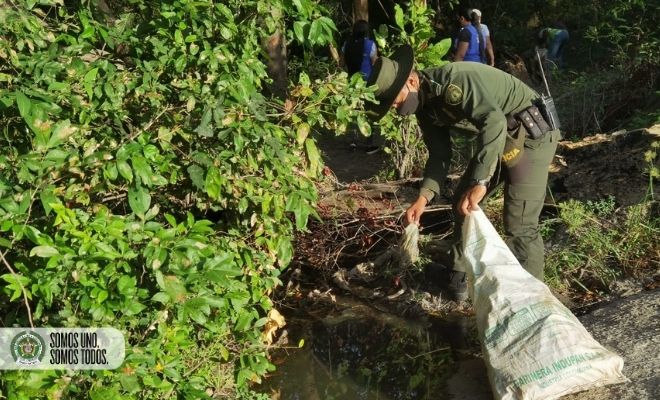 Día mundial de los humedales
