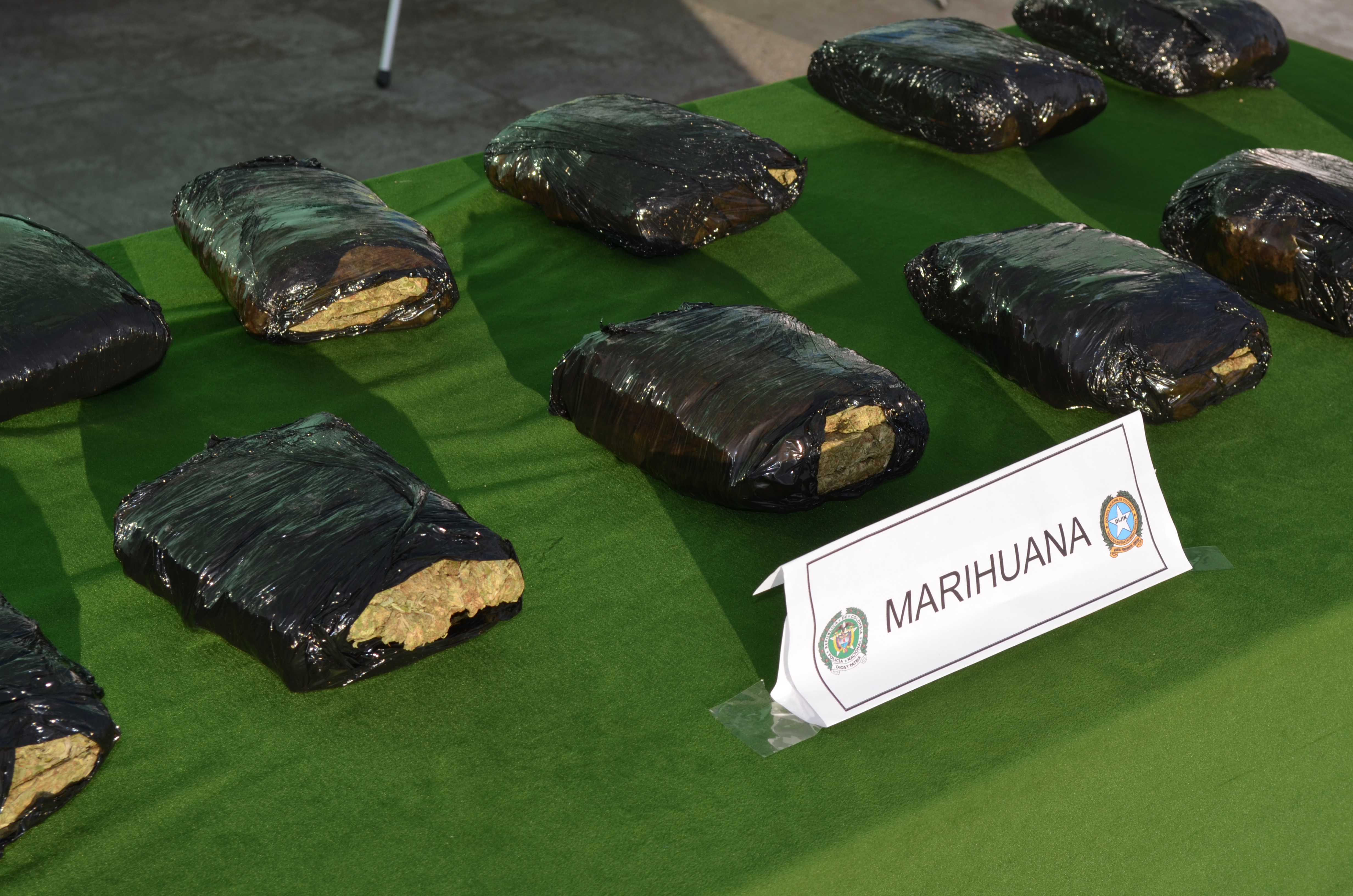 Con-16-capturas-se-neutraliza-tráfico-de-sustancias-alucinógenas-en-localidades-del-municipio-de-Madrid