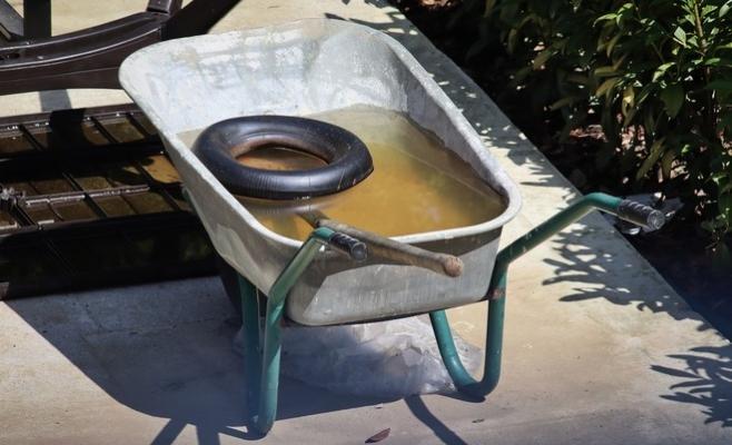 Sus síntomas son parecidos a otras enfermedades como influenza, dengue u otras de tipo hemorrágico de origen viral.