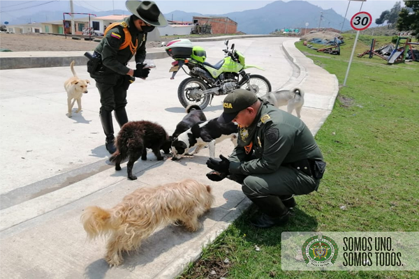 Estamos comprometidos con la protección animal 