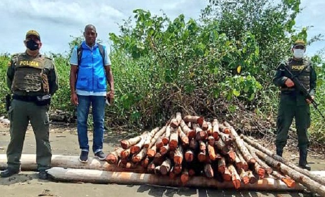 En Juradó Chocó incautamos especies de flora protegidas