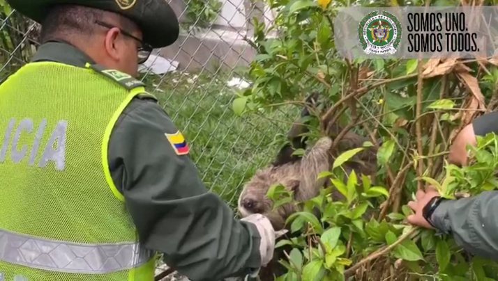 EnLaProteccionALaBiodiversidadSomosUnoSomosTodos1