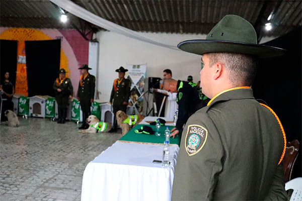 Casa para caninos en condición de calle 