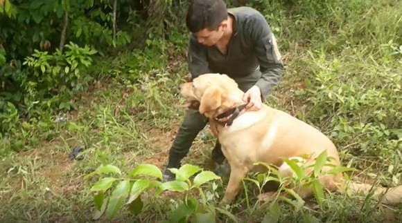 La-patrulla-compuesta-por-el-guía-canino-y-su-fiel-amigo-“Martin” 