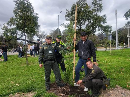 ESMEB Siembra de arboles 