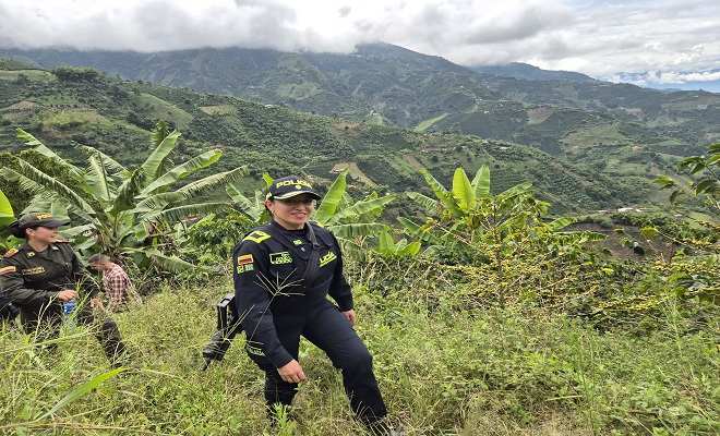 Estrategia Voz a Voz