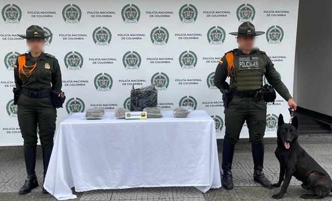 Dos polic&iacute;as, una mascota custodian incautaci&oacute;n de marihuana