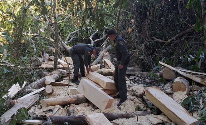En-Guamal-con-mi-Policía-del-cuadrante-frustramos-un-arboricidio