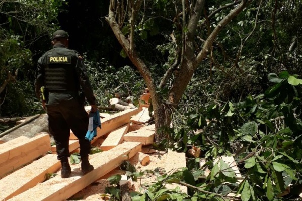 foto-capturados-por-talar-árboles-a-orillas-del-rio-casacará