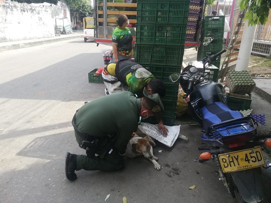 Policía ayudando un perro