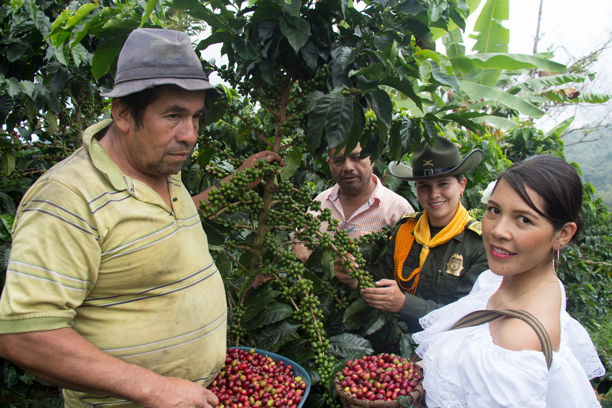 Listo dispositivo policial para garantizar la seguridad en el plan cosecha