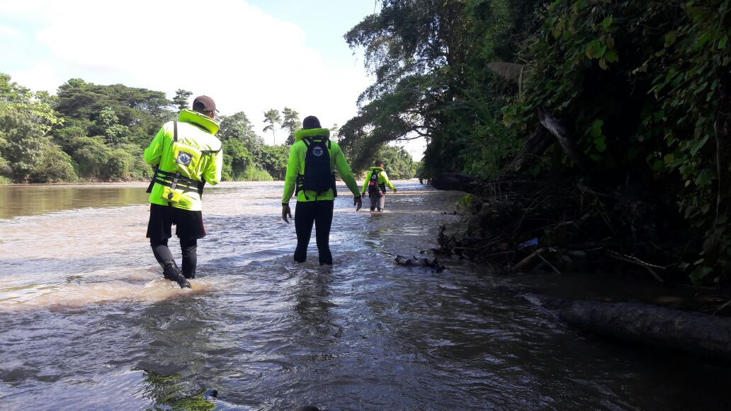 Seguimos en la búsqueda de Emily