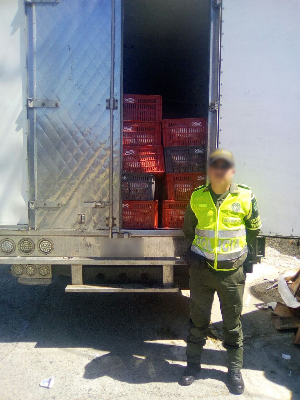 Incautadas cerca de siete toneladas de pescado