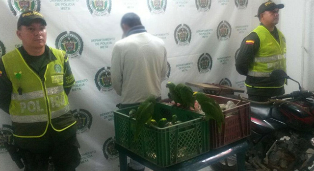 Nuevamente-la Policía Nacional-frustró tráfico de fauna silvestre-en el Meta