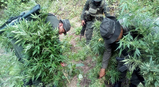 Avanza “Plan Institucional todos contra el Narcotráfico”-en el Meta