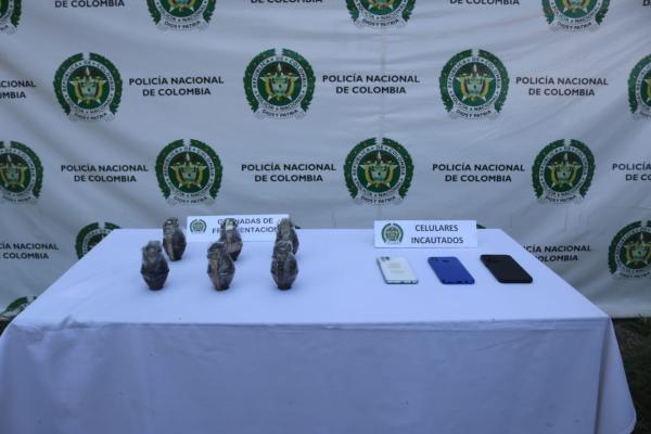 Grupo armado organizado residual (GAO-r) “Jaime Martínez”